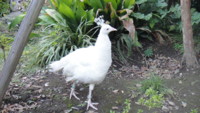 f:id:miwa385:20121021154231j:image f:id:miwa385:20121021154231j:image