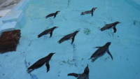 f:id:miwa385:20121021154417j:image
