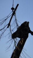 f:id:miwa385:20121021160845j:image