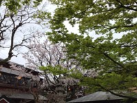 f:id:miwa385:20170408231335j:image