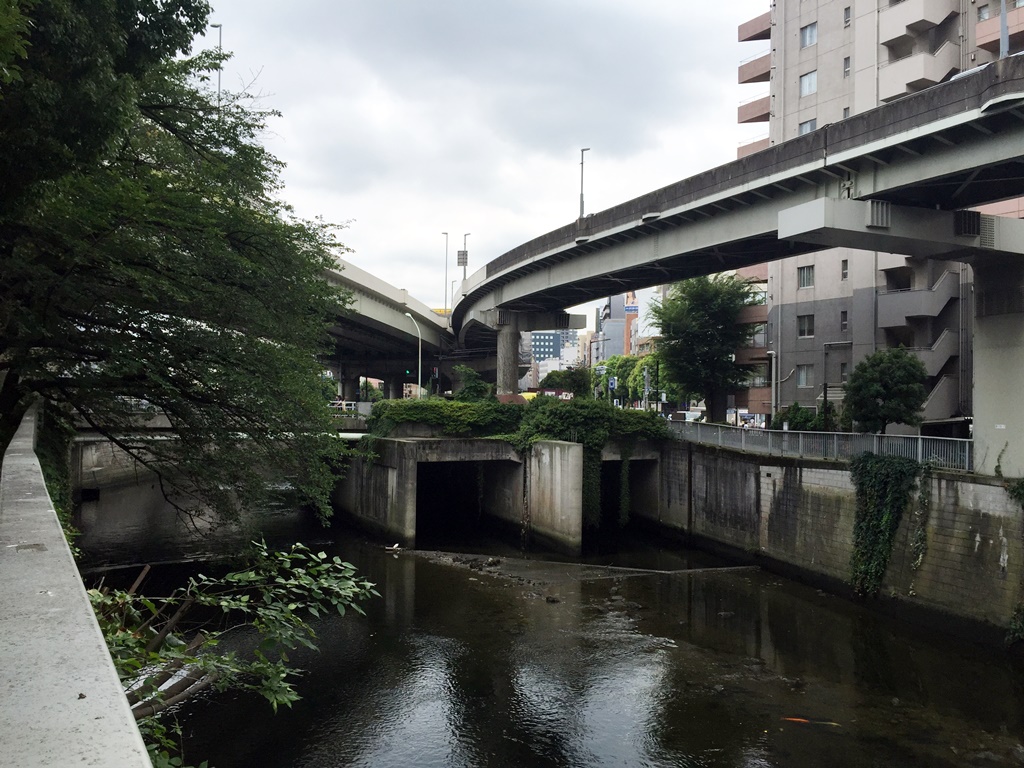 f:id:miwa3k:20160910162008j:plain