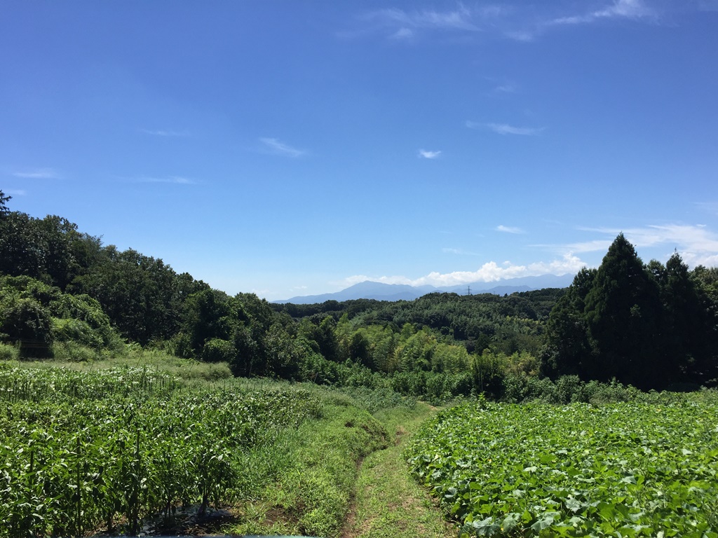 f:id:miwa3k:20160915173749j:plain f:id:miwa3k:20160915173749j:plain