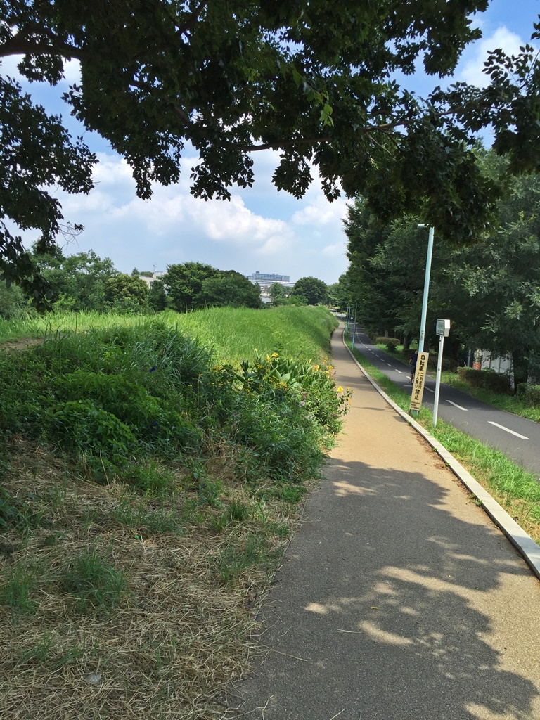 f:id:miwa3k:20160919204123j:plain