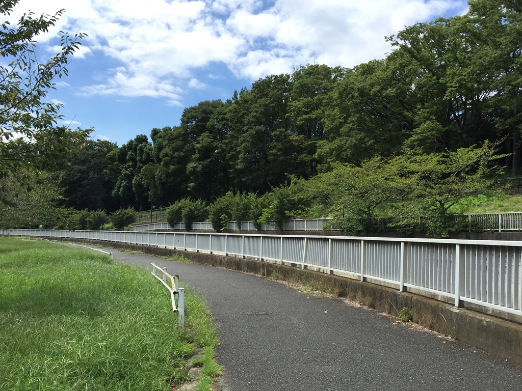 f:id:miwa3k:20160929184531j:plain
