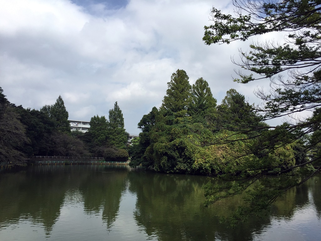 f:id:miwa3k:20161003103935j:plain