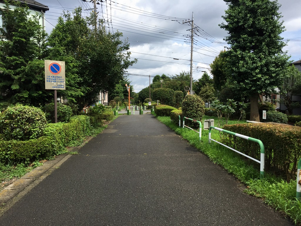 f:id:miwa3k:20161011144502j:plain