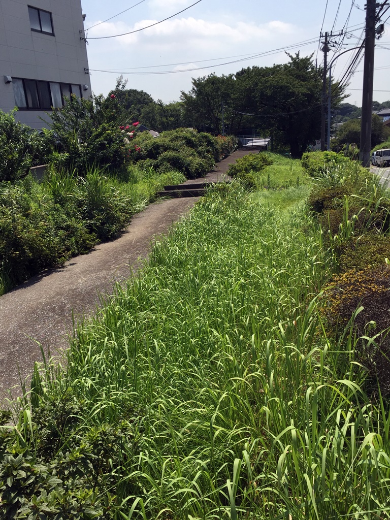 f:id:miwa3k:20161017204058j:plain f:id:miwa3k:20161017204058j:plain