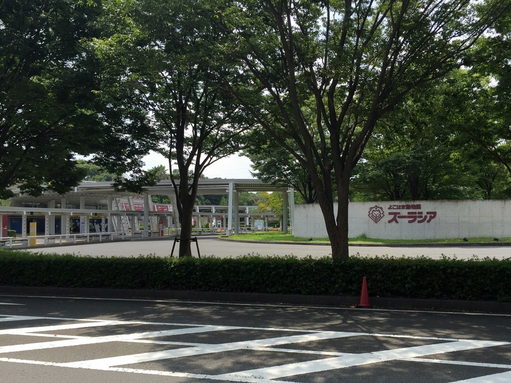 f:id:miwa3k:20161017204114j:plain f:id:miwa3k:20161017204114j:plain