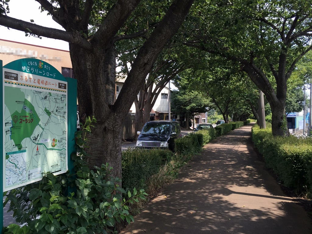 f:id:miwa3k:20161017204118j:plain f:id:miwa3k:20161017204118j:plain