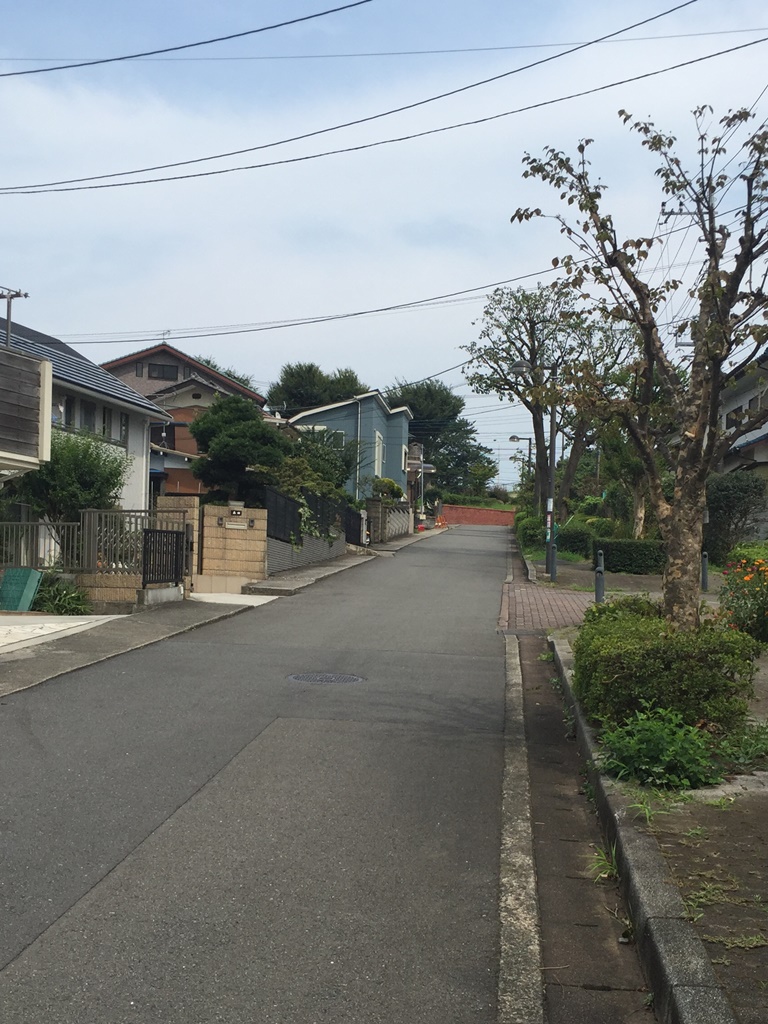 f:id:miwa3k:20161017204135j:plain f:id:miwa3k:20161017204135j:plain