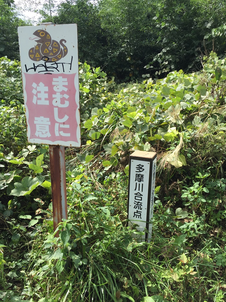 f:id:miwa3k:20161019211946j:plain