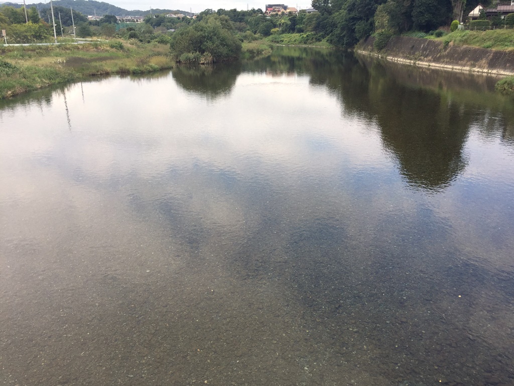 f:id:miwa3k:20161019212005j:plain