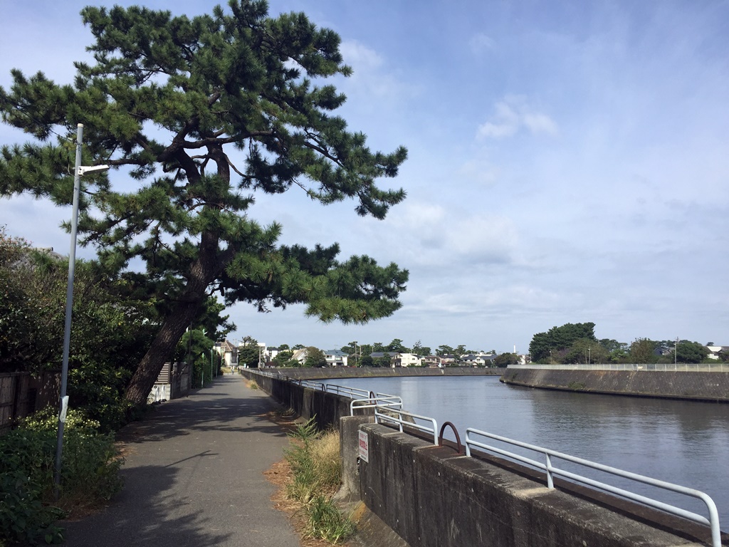 f:id:miwa3k:20161031173813j:plain