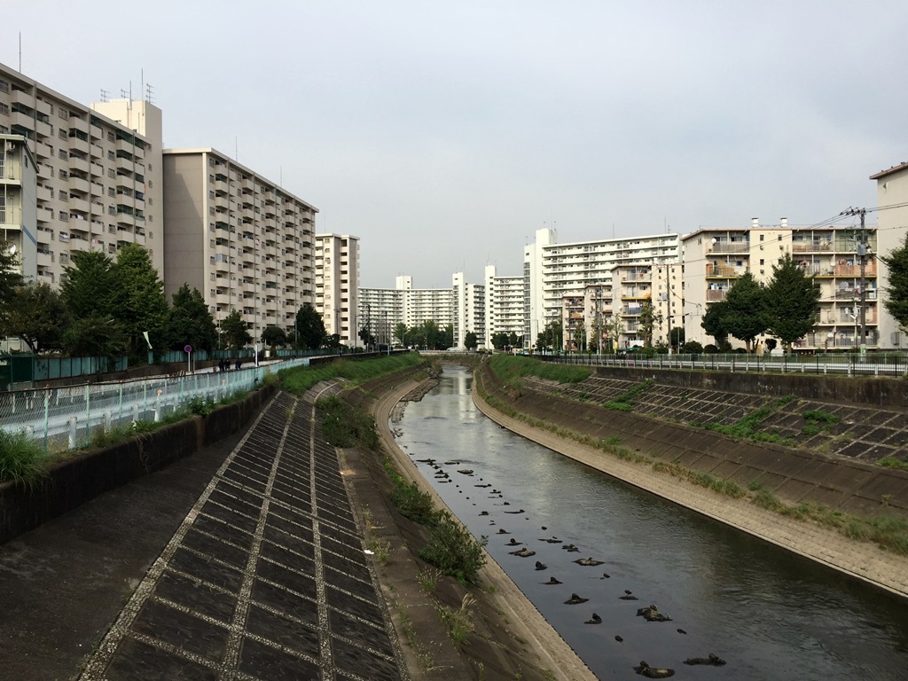 f:id:miwa3k:20161031173848j:plain