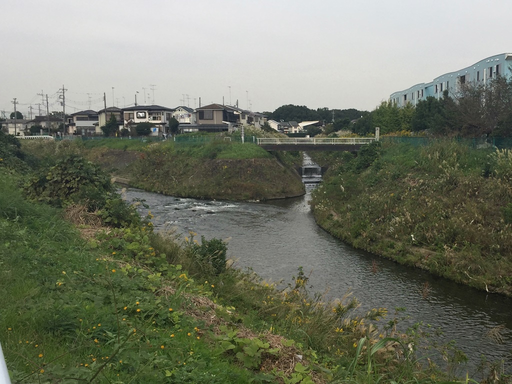 f:id:miwa3k:20161031173851j:plain
