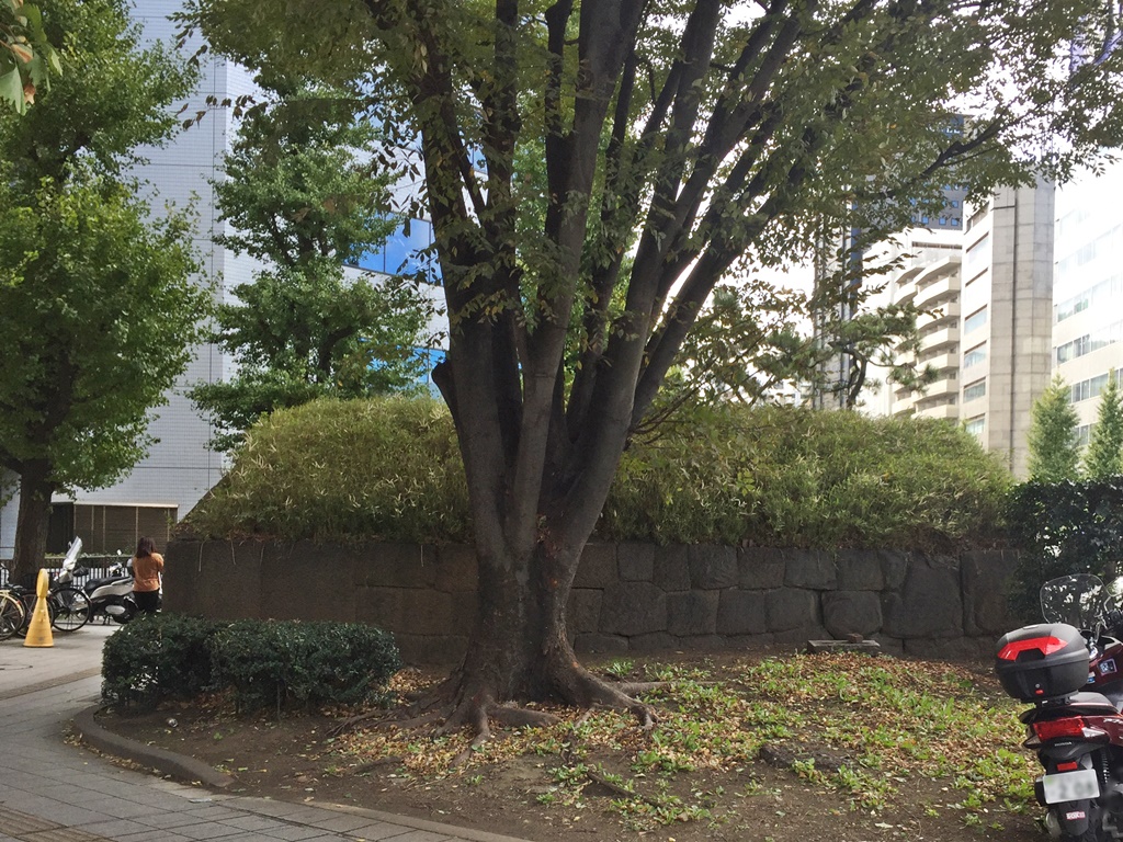 f:id:miwa3k:20161120213448j:plain