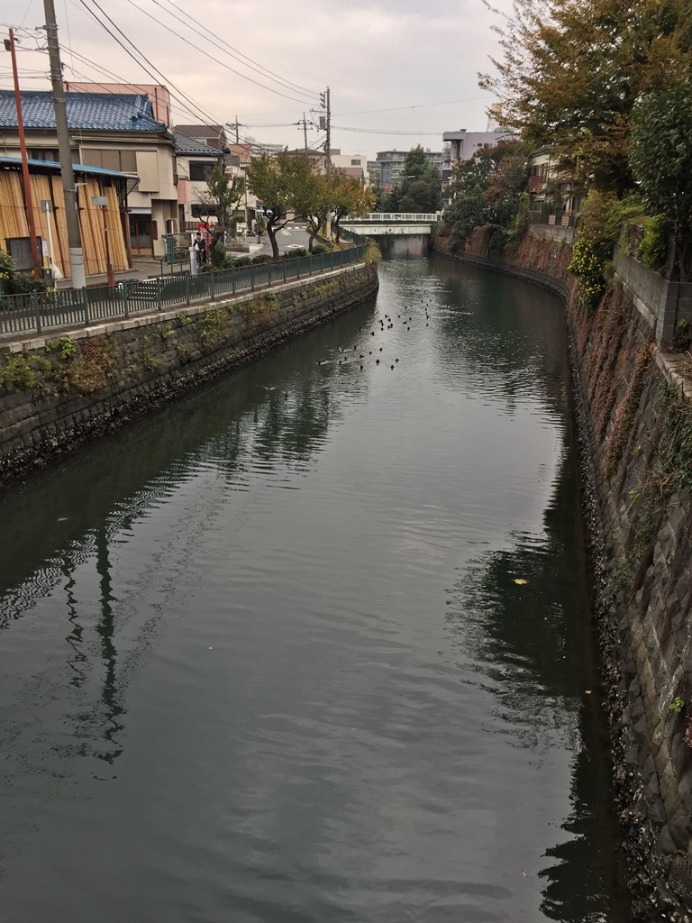 f:id:miwa3k:20161123174735j:plain f:id:miwa3k:20161123174735j:plain
