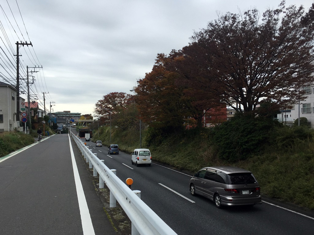 f:id:miwa3k:20161125224835j:plain