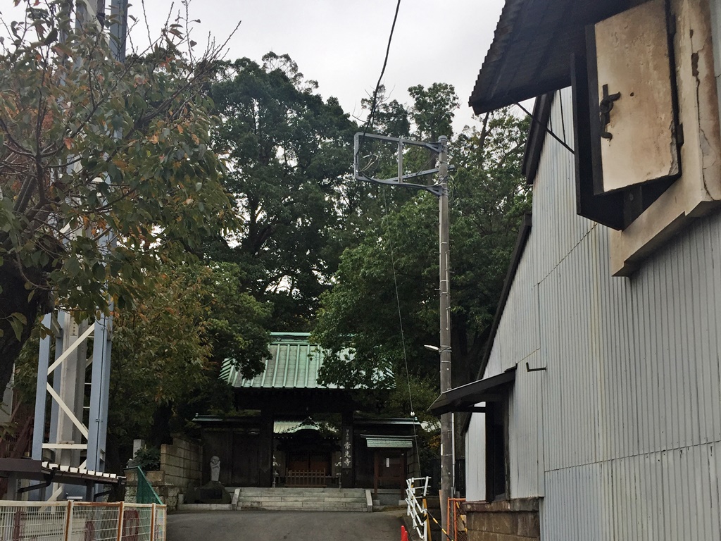 f:id:miwa3k:20161125224845j:plain