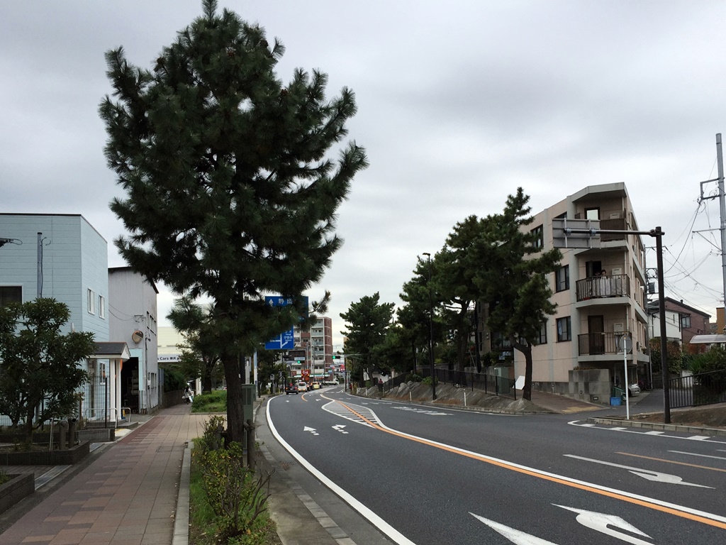 f:id:miwa3k:20161125224848j:plain