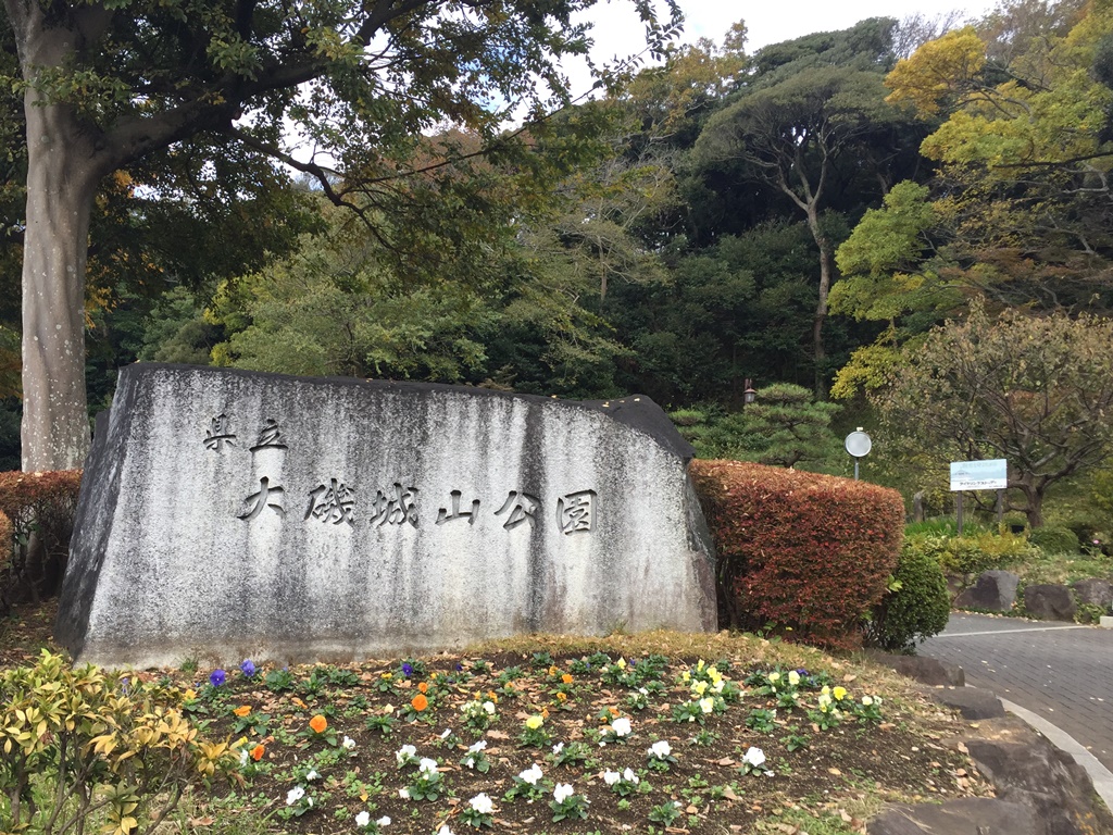 f:id:miwa3k:20161128204905j:plain