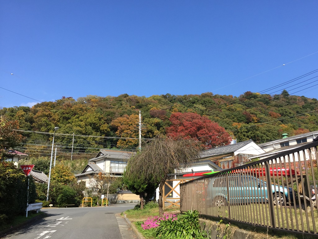 f:id:miwa3k:20161128204910j:plain