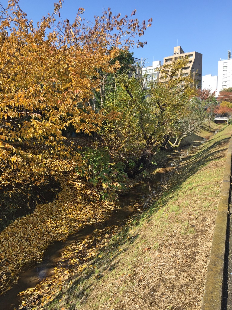 f:id:miwa3k:20161201123922j:plain
