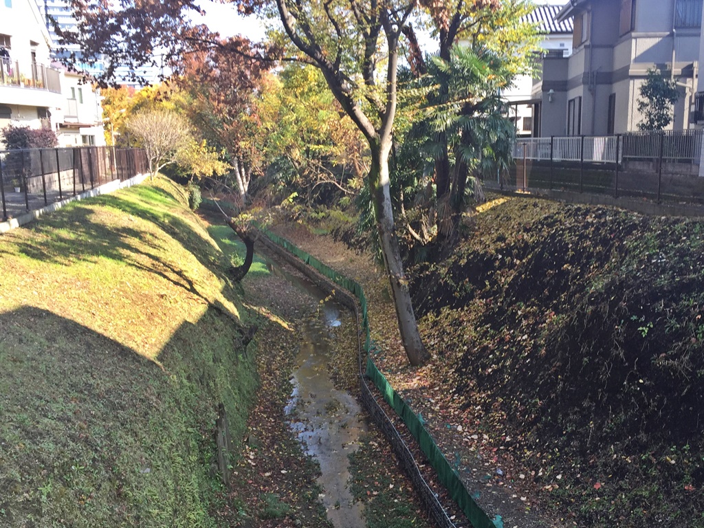 f:id:miwa3k:20161201123923j:plain