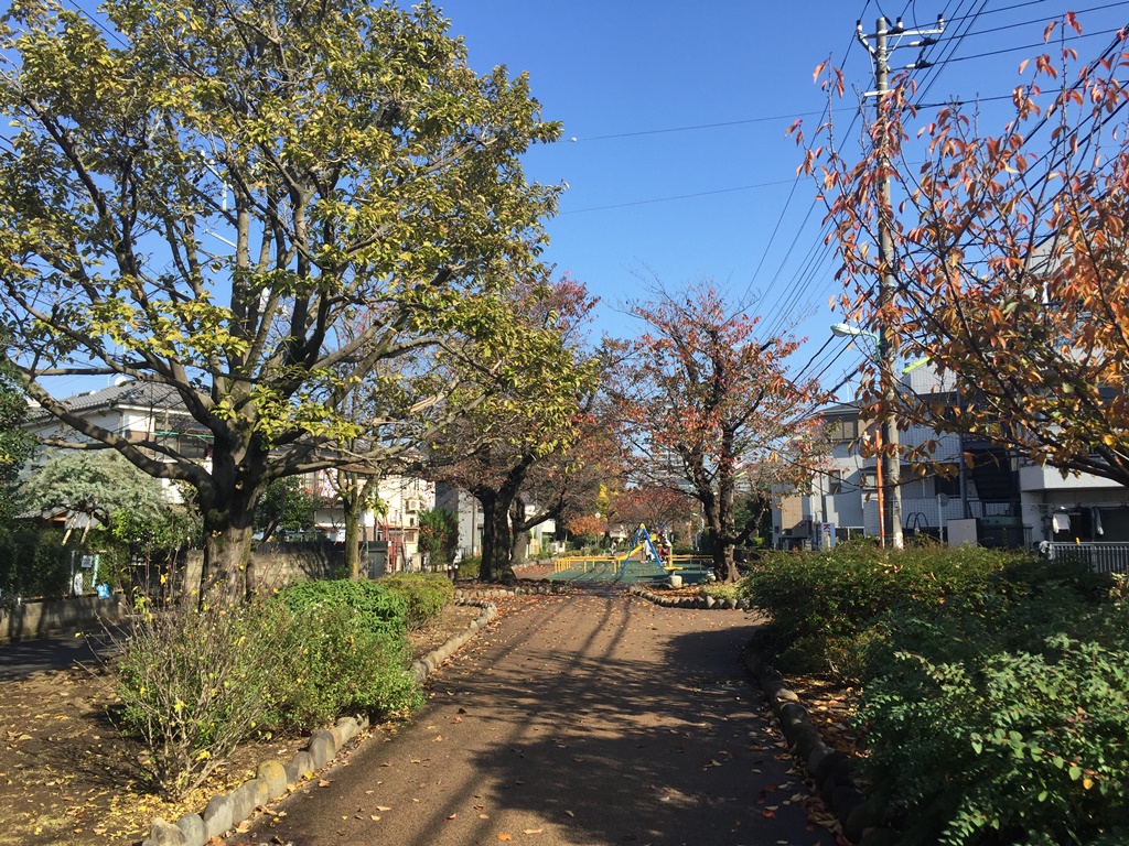 f:id:miwa3k:20161201123924j:plain
