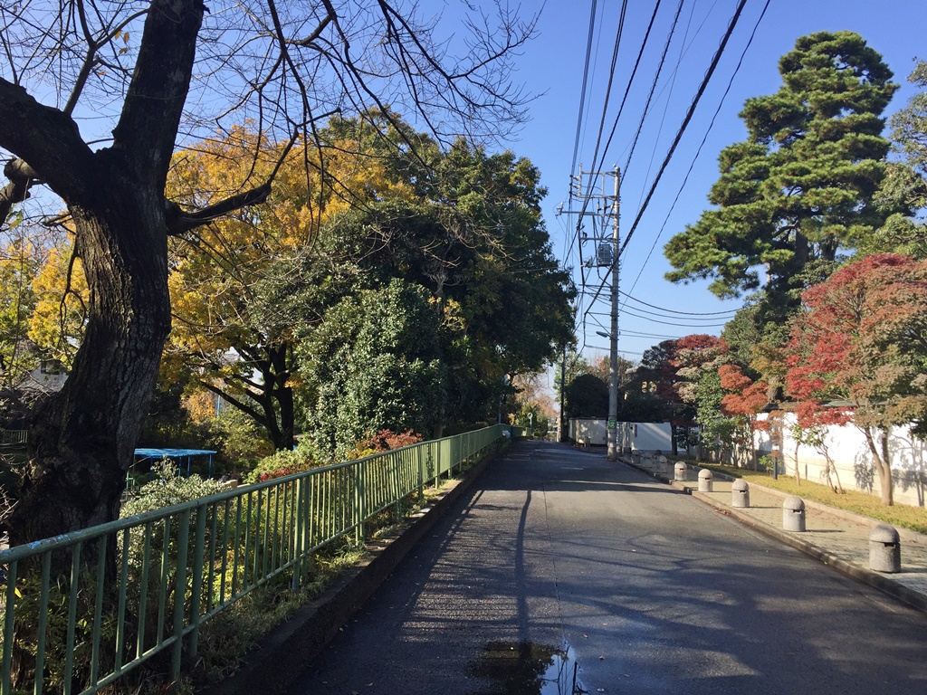 f:id:miwa3k:20161201123931j:plain