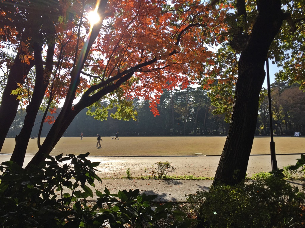 f:id:miwa3k:20161201123944j:plain