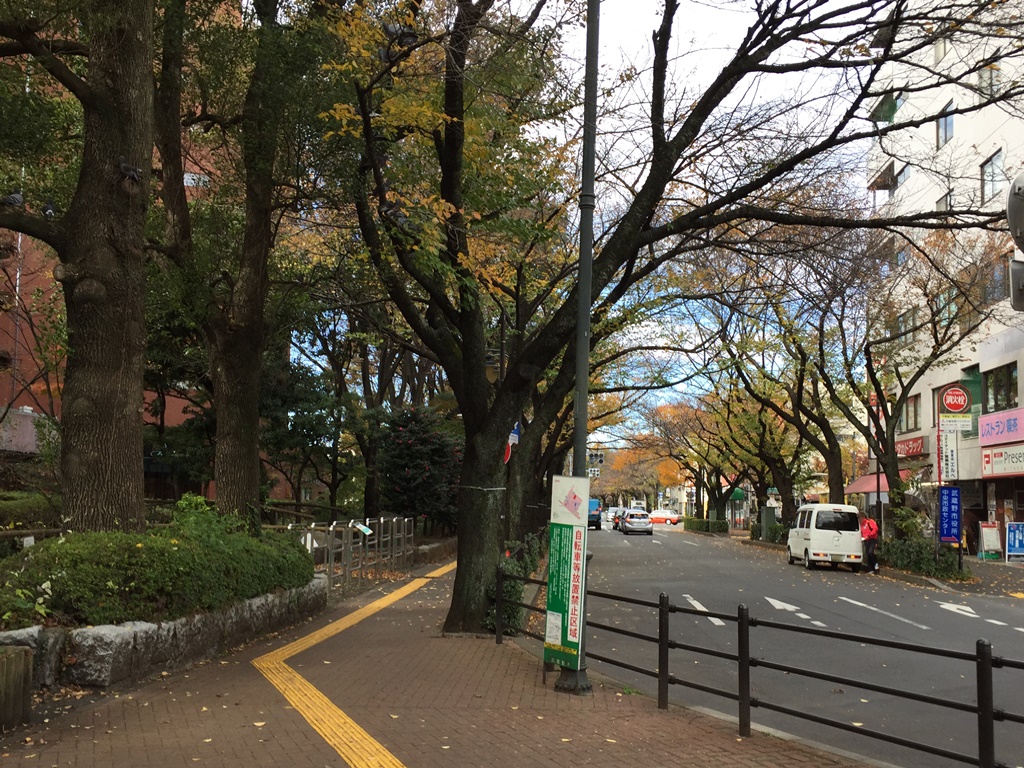 f:id:miwa3k:20161205192816j:plain