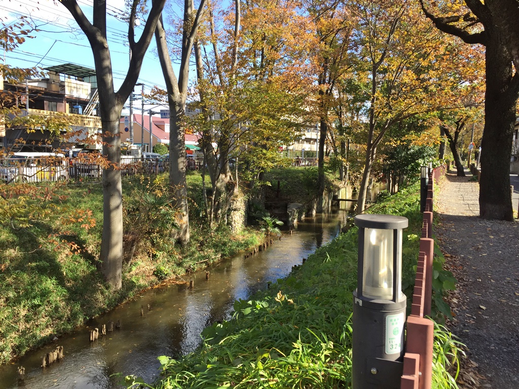 f:id:miwa3k:20161205192824j:plain