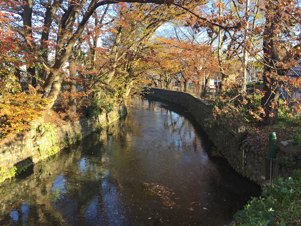 f:id:miwa3k:20161205192856j:plain