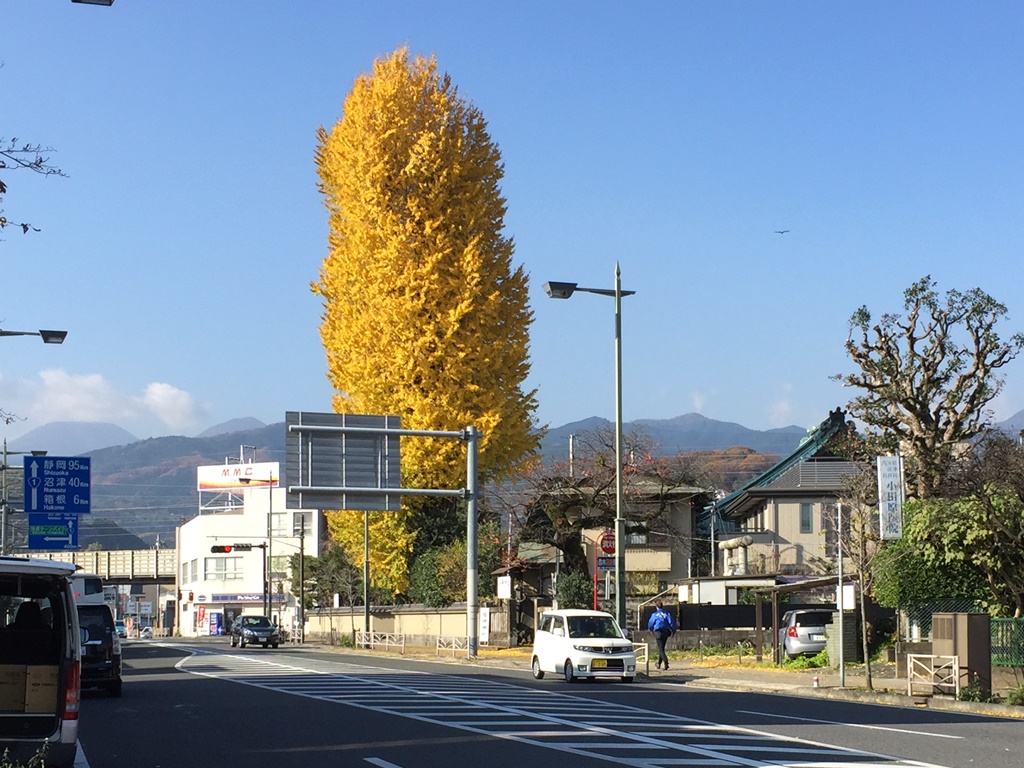 f:id:miwa3k:20161213211738j:plain