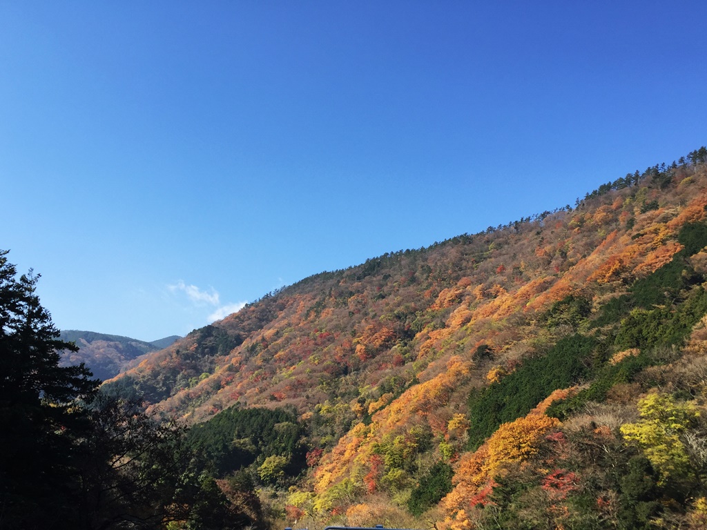 f:id:miwa3k:20161213211751j:plain