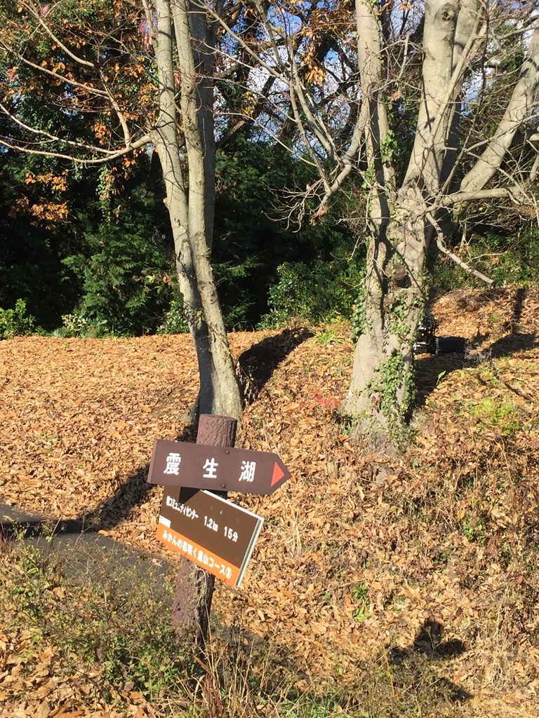 f:id:miwa3k:20161231134851j:plain