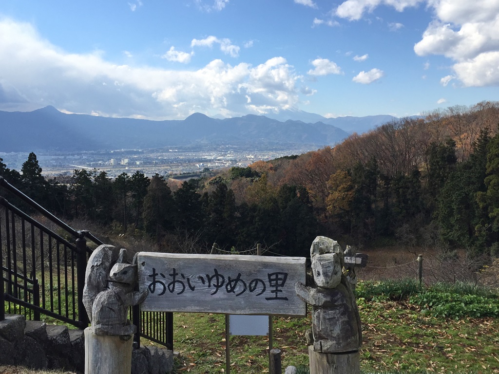 f:id:miwa3k:20161231134910j:plain
