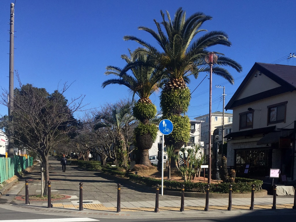 f:id:miwa3k:20170105225707j:plain