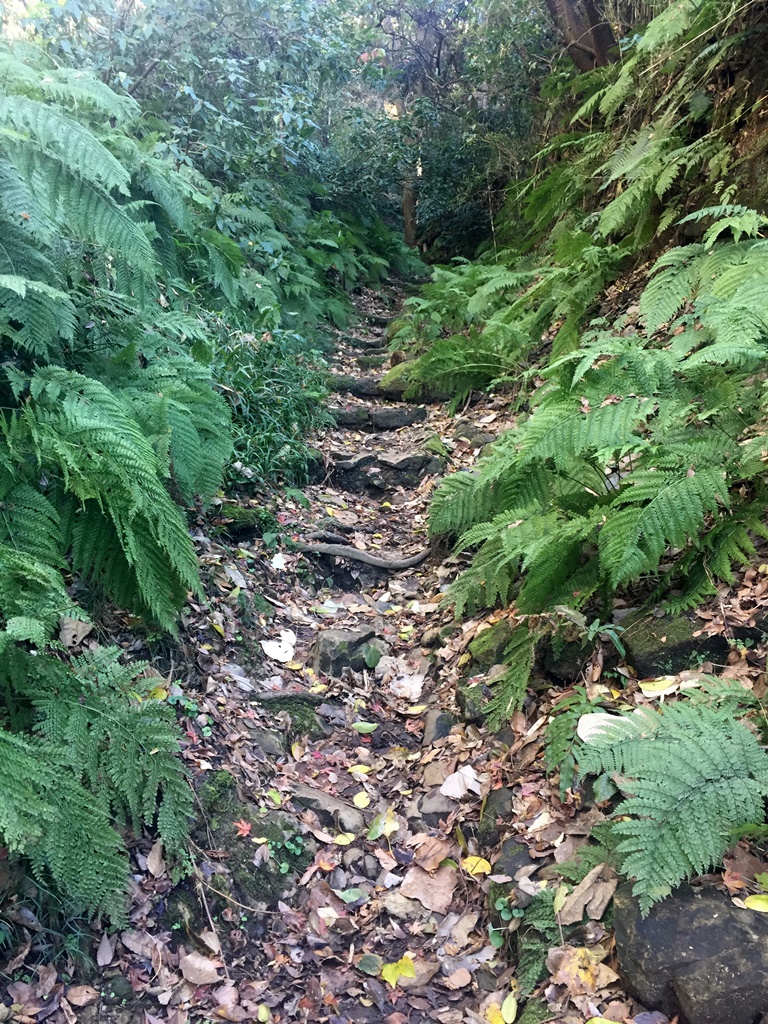 f:id:miwa3k:20170105225723j:plain