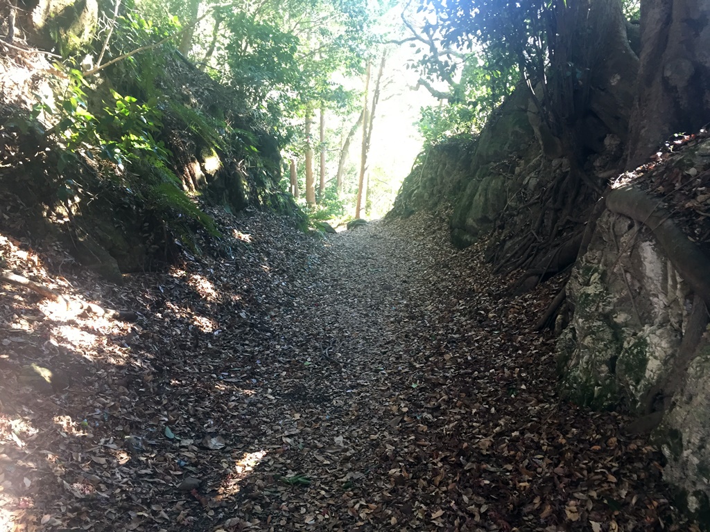 f:id:miwa3k:20170105225725j:plain