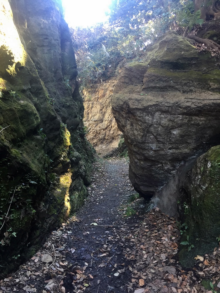 f:id:miwa3k:20170105225727j:plain