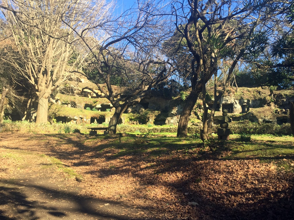 f:id:miwa3k:20170105225728j:plain