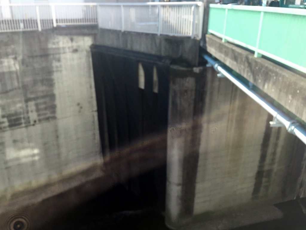 f:id:miwa3k:20170112204017j:plain