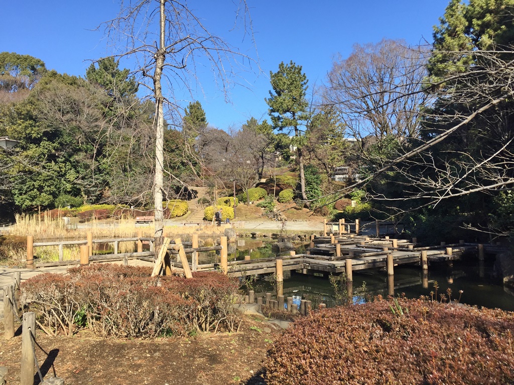 f:id:miwa3k:20170112204023j:plain