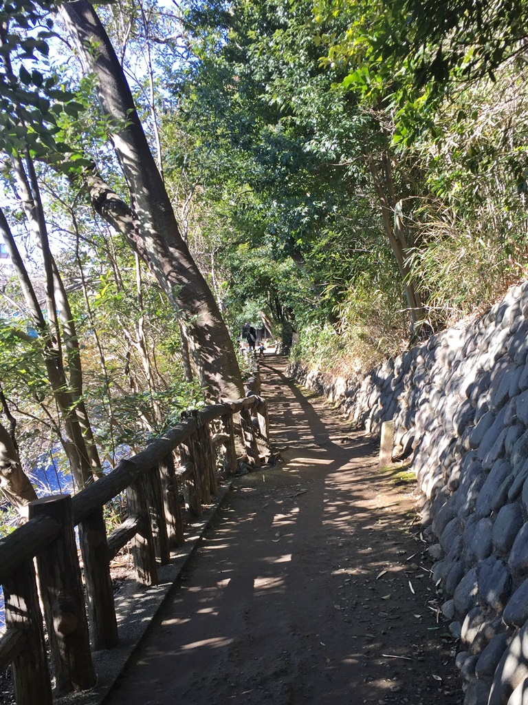 f:id:miwa3k:20170112204024j:plain