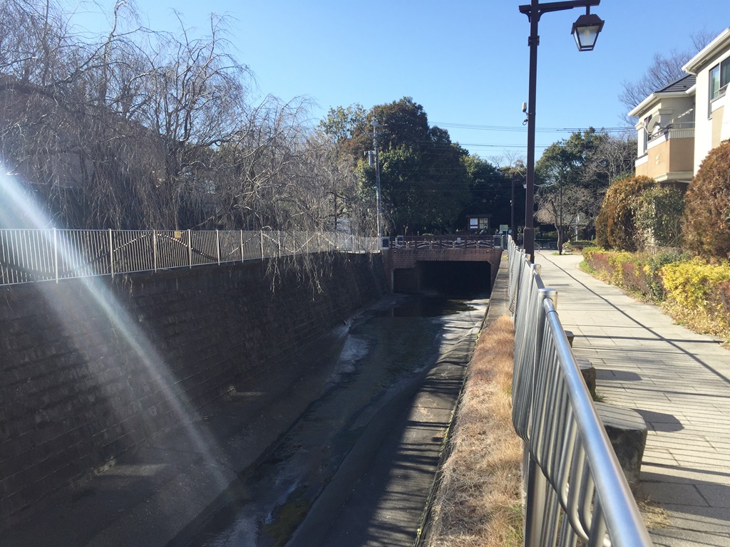 f:id:miwa3k:20170112204030j:plain