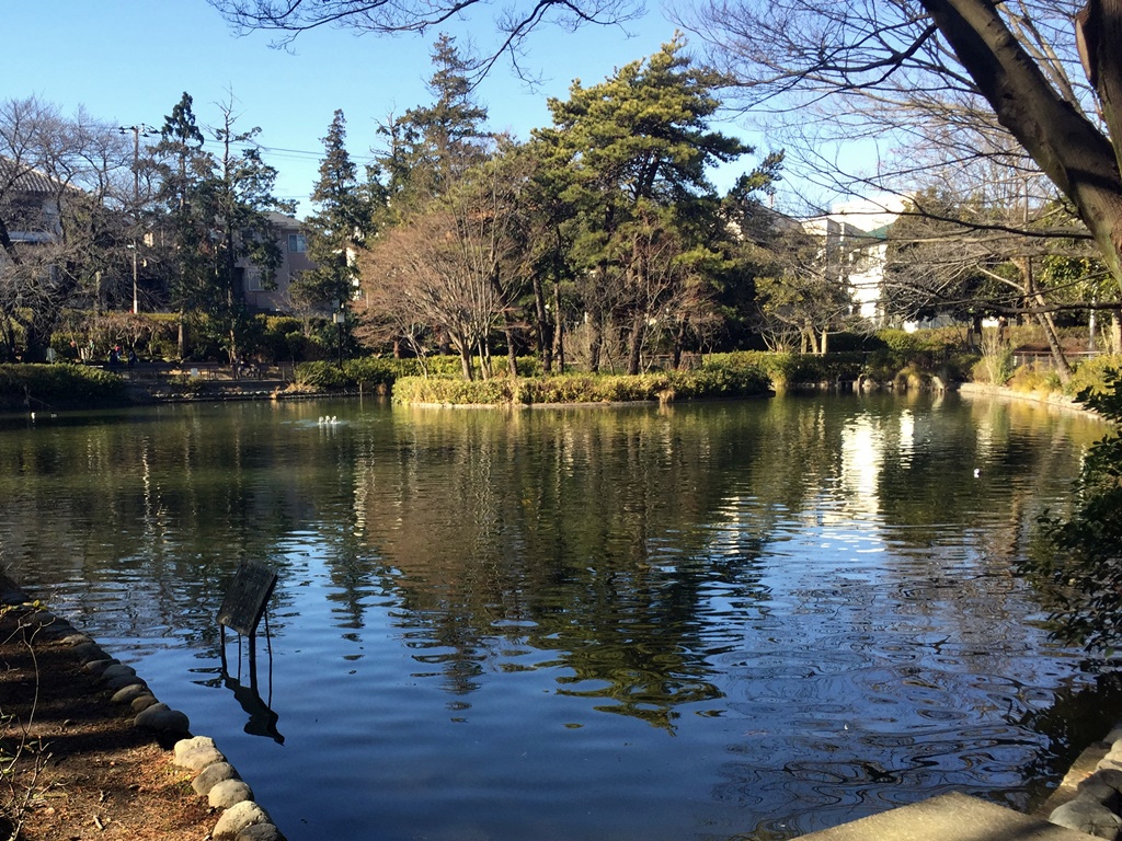 f:id:miwa3k:20170112204032j:plain