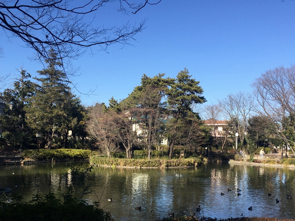 f:id:miwa3k:20170112204033j:plain