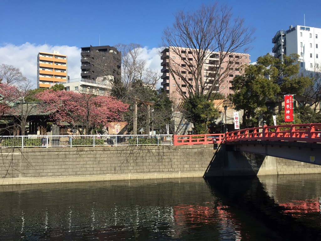 f:id:miwa3k:20170210195357j:plain f:id:miwa3k:20170210195357j:plain